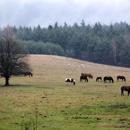 Elżbieta I Juliusz Gospodarstwo agroturystyczne